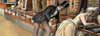 Le proc�s de la momie