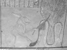 R� massacre Apophis