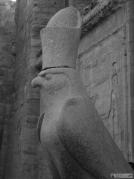 Statue du dieu Horus sous la forme du faucon