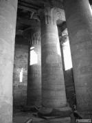 Colonnes de la 1�re salle hypostyle