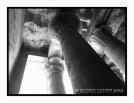 Lumi�re et �dification