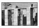Pleine lumi�re sur le temple