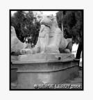 Entre les pattes, pharaon