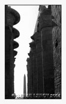 All�e centrale de douze colonnes