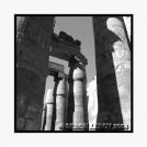 Ombres et lumi�res