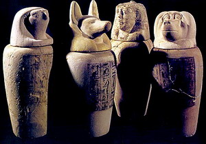 Vases Canopes Vases Canopes