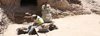 Des nouvelles tombes d�couvertes pr�s de Louxor