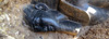 D�couverte de deux statues du pharaon Amenhotep 3
