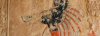 Signe Anubis