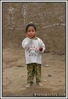 IMG_0981-WEB.jpg