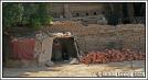 IMG_1910.jpg