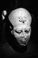 T�te de pharaon