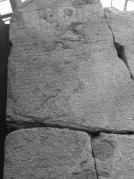 La st�le de Ptol�m�e VIII Everg�te II (d�tail)