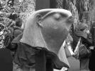 Crocodilo-sphinx hi�racoc�phale
