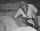 Nettoyage d'un sarcophage par Zahi Hawass