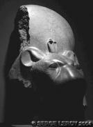 D�esse � t�te de lionne Sekhmet