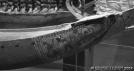 Barques c�r�moniales avec leurs rameurs