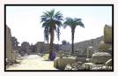 Gardien � l�ombre d�un palmier � Karnak