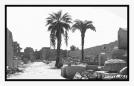 Gardien � l�ombre d�un palmier � Karnak