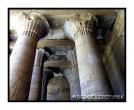 Colonnes aux repr�sentations d�Horus