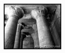 Colonnes aux repr�sentations d�Horus