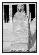 Faucon veille sur l'acc�s au temple par la rampe