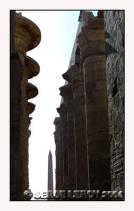 All�e centrale de douze colonnes