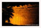 Repr�sentations de nuit
