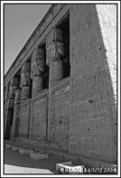 IMG_8216.jpg