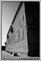 IMG_8228.jpg