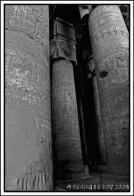 IMG_8300.jpg