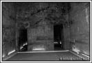 IMG_8316.jpg