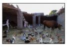 Basse-cour animali�re