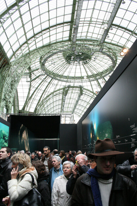 La voute du grand palais