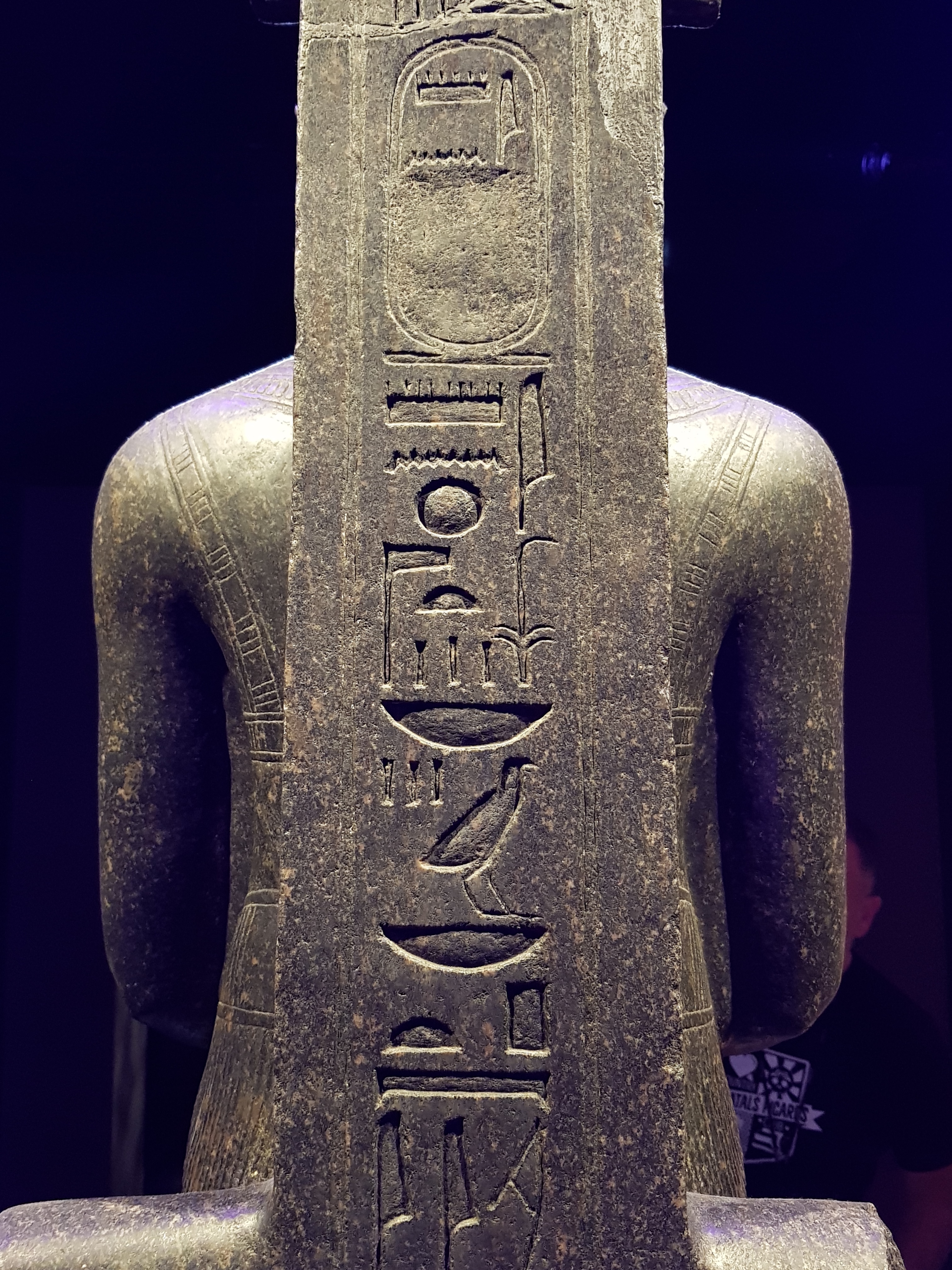 Dos de la statue Amon protégeant Toutankhamon