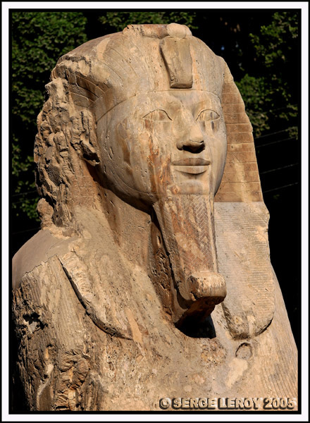 Sphinx de Memphis