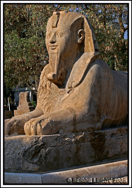 Sphinx de Memphis de 80T