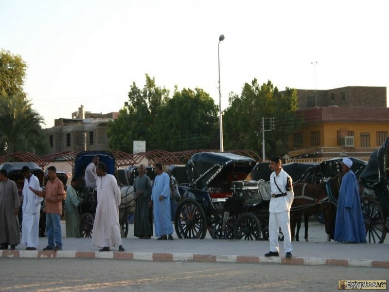 Parc à calèches