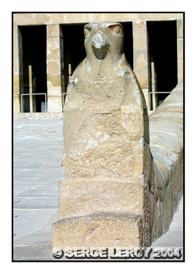 Faucon veille sur l'accès au temple par la rampe