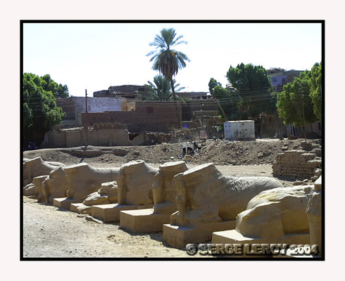 Statues traversant le village de Louxor