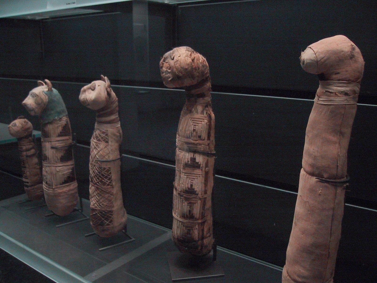 Dog_mummies_at_the_Louvre_museum.jpg