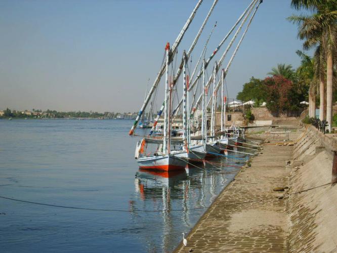Sur les bords du Nil près d'Assouan