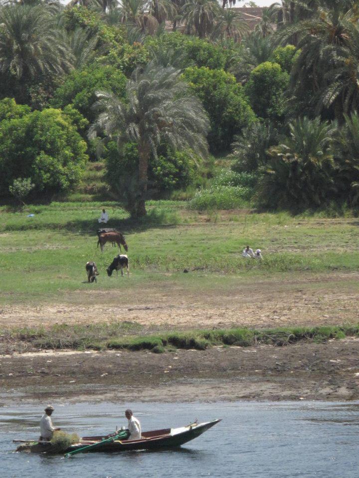 Berges du Nil entre Kom Ombo et Assouan