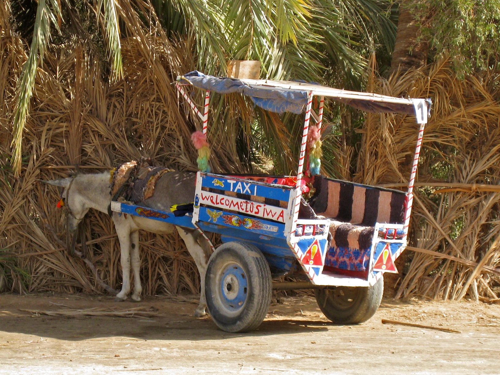 Taxi typique de Siwa