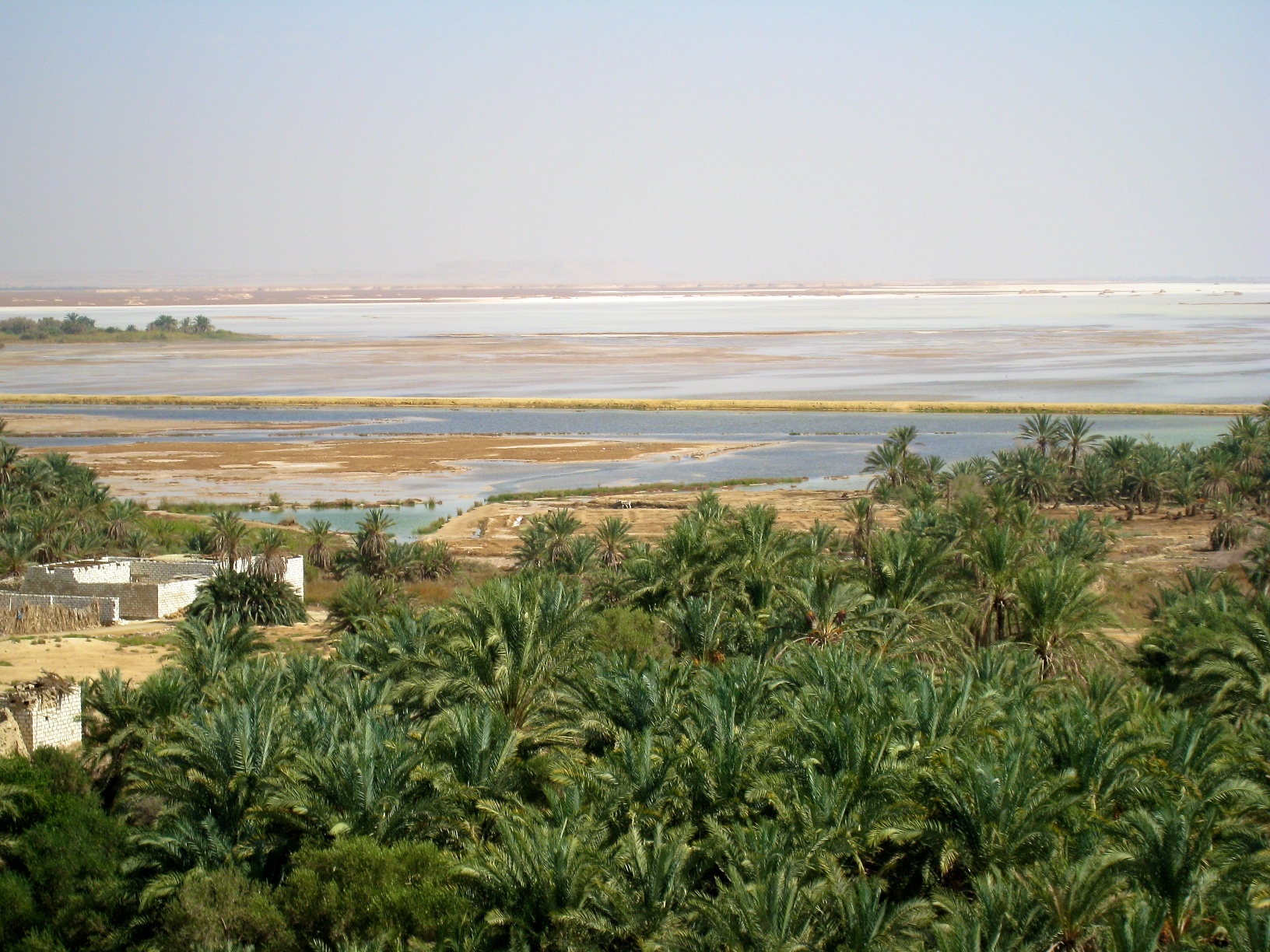 Oasis de Siwa