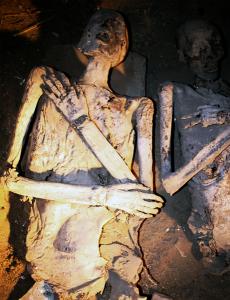 Momies découvertes dans la tombe de Amenemipet