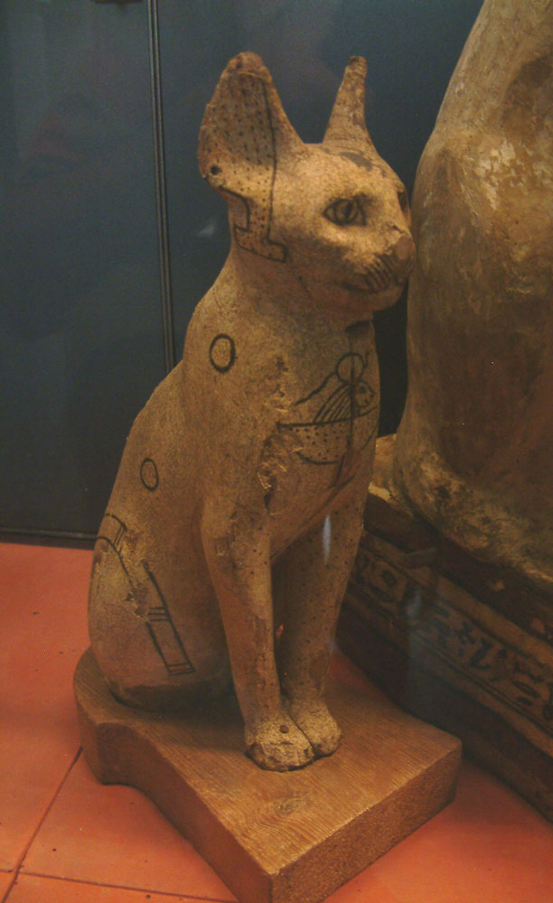 Le Chat En Egypte Antique Un Animal Sacre